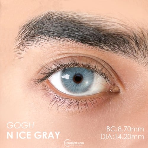 Urban Layer Gogh N ice Gray (1 Yıllık)