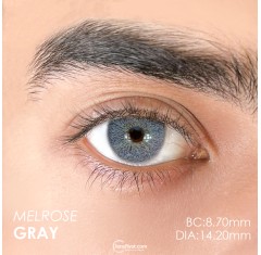 Urban Layer Melrose Gray (1 Yıllık)