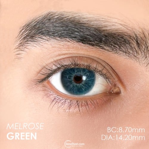 Urban Layer Melrose Green (1 Yıllık)