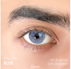 Urban Layer Palvin Blue (1 Yıllık)