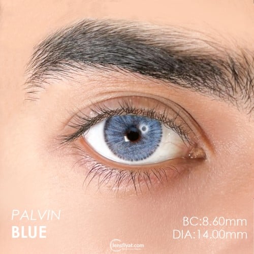 Urban Layer Palvin Blue (1 Yıllık)