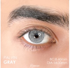 Urban Layer Palvin Gray (1 Yıllık)