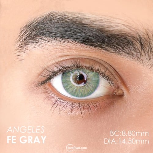 Urban Layer Angeles Fe Gray (1 Yıllık)