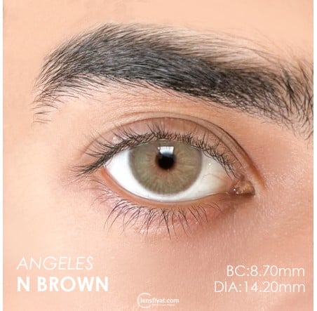 Urban Layer Angeles N Brown (1 Yıllık) görseli