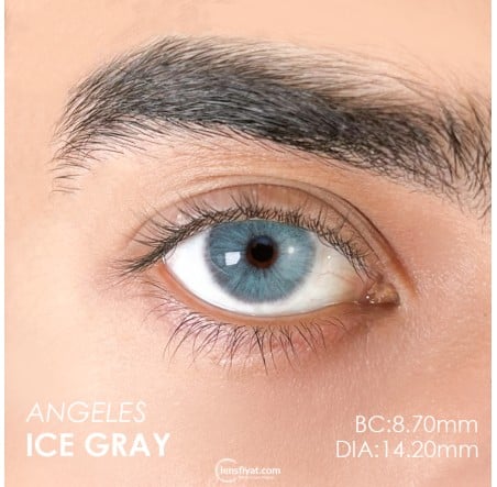 Urban Layer Angeles N ice Gray (1 Yıllık) görseli