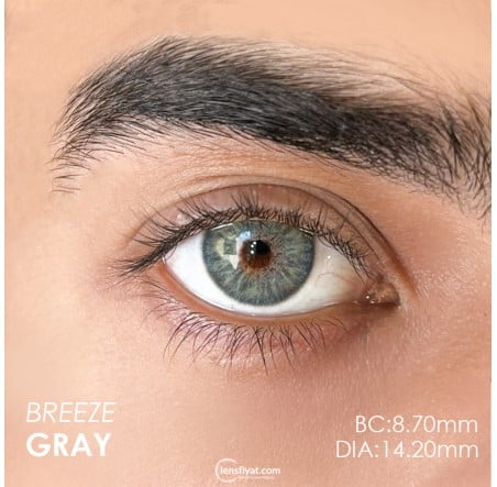 Urban Layer Breeze Gray (1 Yıllık) görseli