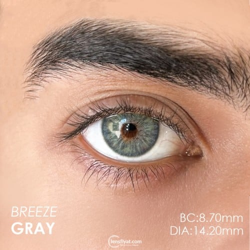 Urban Layer Breeze Gray (1 Yıllık)