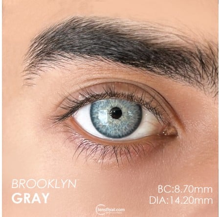 Urban Layer Brooklyn Gray (1 Yıllık) görseli