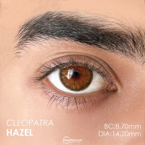 Urban Layer Cleopatra Hazel (1 Yıllık)