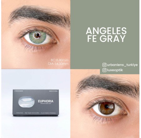 Urban Layer Angeles Fe Gray (1 Yıllık) görseli