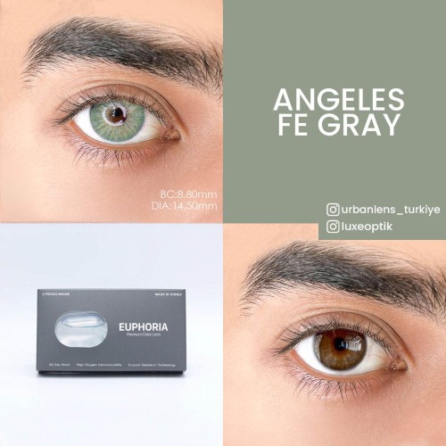 Urban Layer Angeles Fe Gray (1 Yıllık)