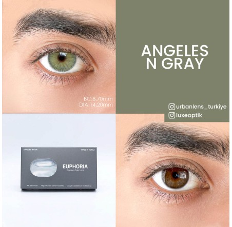 Urban Layer Angeles N Gray (1 Yıllık) görseli