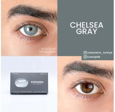 Urban Layer Chealsea Gray (1 Yıllık) görseli