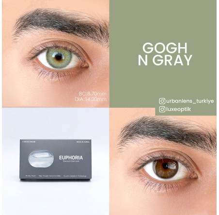 Urban Layer Gogh N Gray (1 Yıllık) görseli