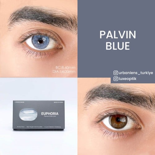 Urban Layer Palvin Blue (1 Yıllık)