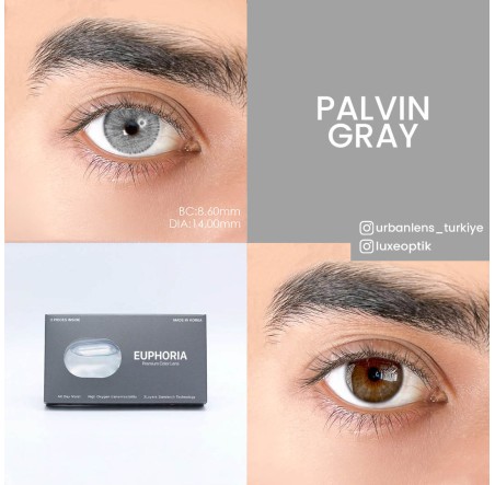 Urban Layer Palvin Gray (1 Yıllık) görseli