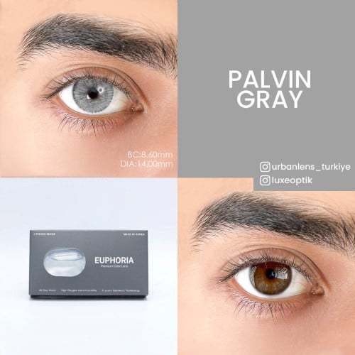 Urban Layer Palvin Gray (1 Yıllık)