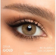 Victoria Diva Gold Ela Renk (1 Yıllık) 
