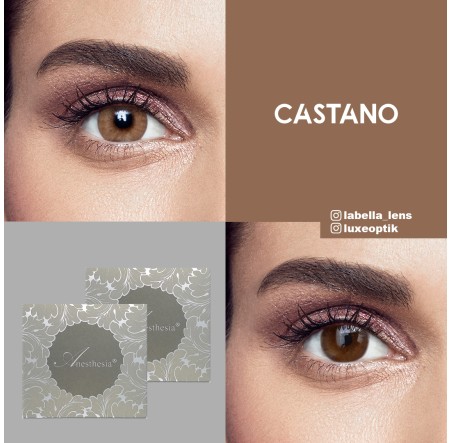 Anastasia Addict Ela Renk Castano (6 Aylık)