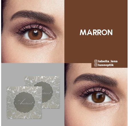 Anastasia Addict Ela Renk Pure Marron (6 Aylık)