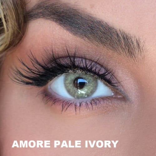 Elamore Ela Renk Pale Ivory (1 Yıllık)