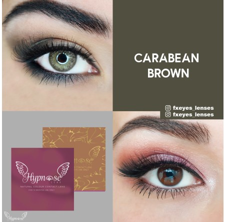 Hypnose Caribbean Brown (Kahverengi)  (1 Yıllık)
