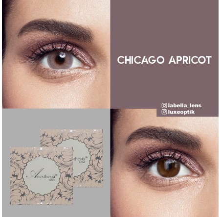 Anesthesia Once Gri Renk Chicago Apricot (GÜNLÜK)