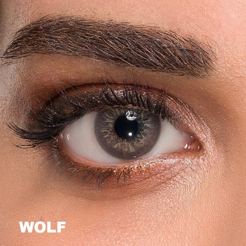 Claro Gri Renk Akik Wolf (1 Yıllık)