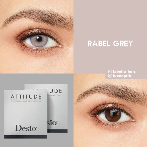Desio Attitude Quarterly 2 Gri Renk Rebel Grey (3 Aylık)