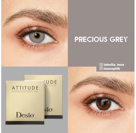 Desio Attitude Quarterly 3 Tone Gri Renk Precious Grey (3 Aylık)