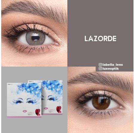 Lazord Lazorde Gri Renk (1 Yıllık)