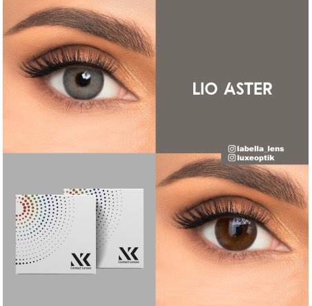 NK Lio Aster Gri Renk (1 Yıllık)