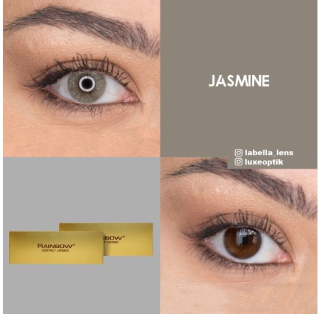 Rainbow Lovely Gri Renk Jasmine (1 Yıllık)