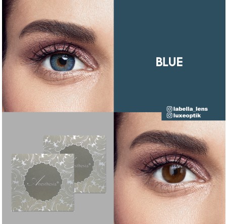 Anastasia Anesthesia Mavi Renk Blue (6 Aylık)
