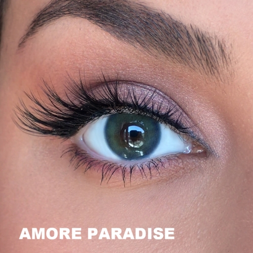 El Amore Mavi Renk Paradise (6 Aylık)