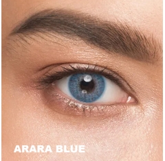 Solotica Mavi Renk Arara Blue (3 Aylık)