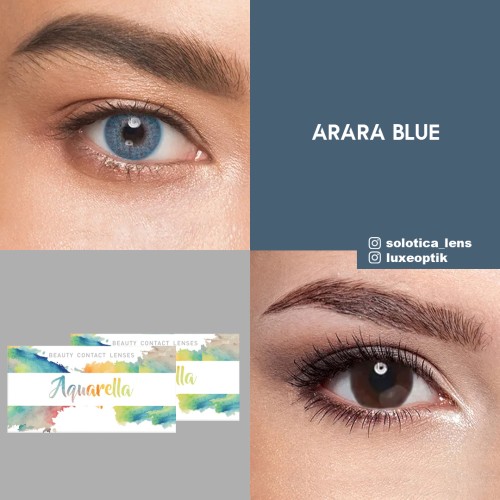 Solotica Mavi Renk Arara Blue (3 Aylık)