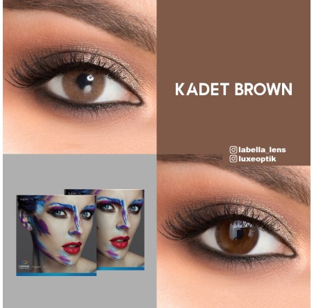 Lorans Kadet Brown Ela Renk (1 Yıllık)