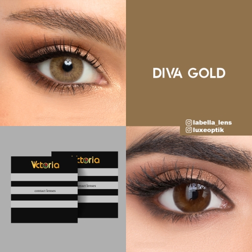 Victoria Diva Gold Ela Renk (1 Yıllık) 