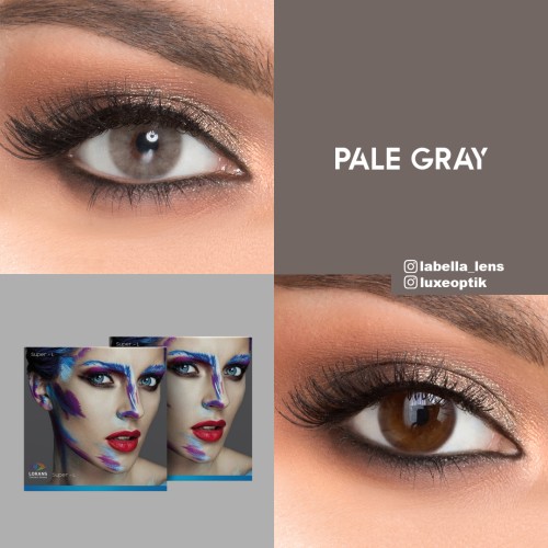 Lorans Pale Gray Gri Renk (1 Yıllık)