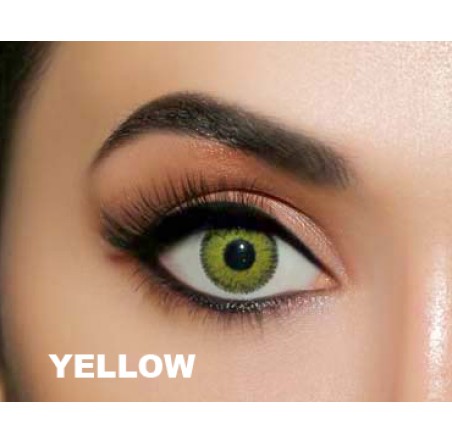 Rainbow Fantasy Line Serisi (1 Yıllık)