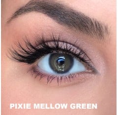 Elamore Yeşil Renk Pixie Mellow Green (1 Yıllık)