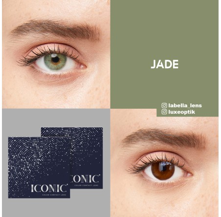 Iconic Yeşil Renk Jade (3 Aylık)