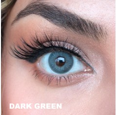Labella Yeşil Renk Exclusive Dark Green (3 Aylık)