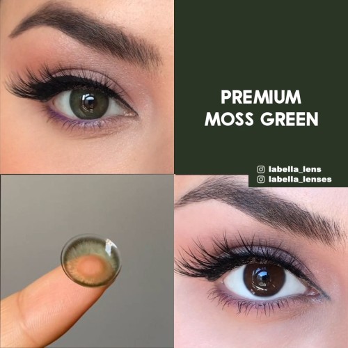 Labella Yeşil Renk Moss Green (3 Aylık)