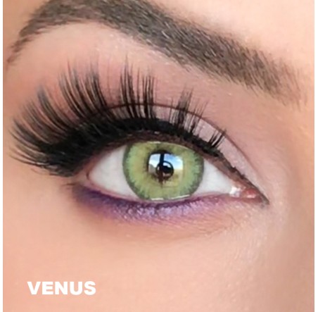 Versace 19.69 Hareli Serisi  (1 Yıllık)