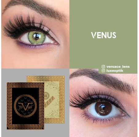 Versace Yeşil Renk Venüs (1 Yıllık)