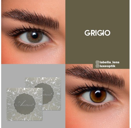 Anastasia Addict Yeşil Renk Grigio (6 Aylık)