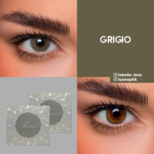 Anastasia Addict Yeşil Renk Grigio (6 Aylık)