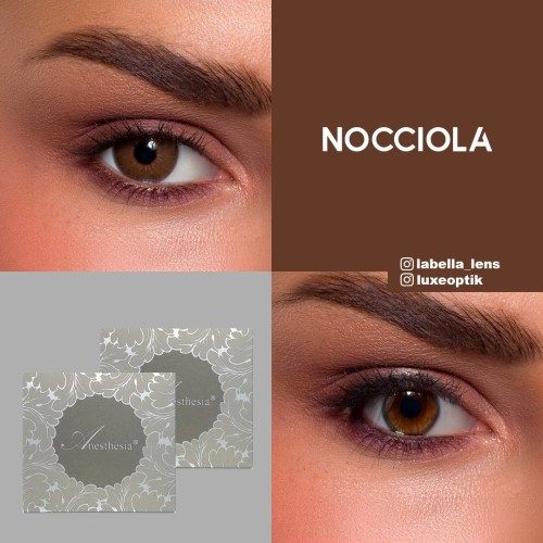 Anastasia Addict Ela Renk Nocciola (6 Aylık)